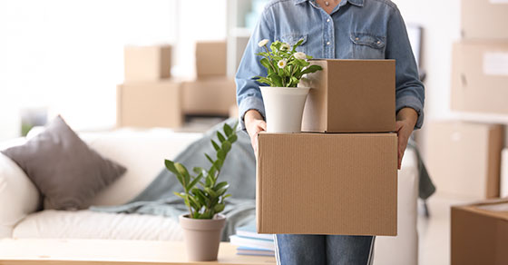 Person holding moving boxes and a house plant in the process of moving
